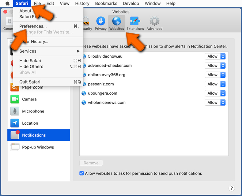 Internetbrowser-Benachrichtigungen bei Safari (macOS) entfernen (Schritt 1)