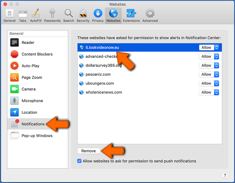 Internetbrowser-Benachrichtigungen bei Safari (macOS) entfernen (Schritt 2)