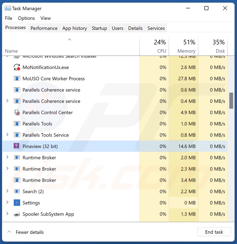 Pinaview PUA Prozess im Task Manager (Pinaview - Prozessname)