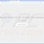Website, auf der für den EasySearch-Browser-Hijacker geworben wird 1