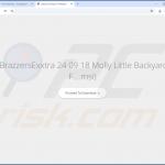 guardflares.com Projektträger umleiten 2