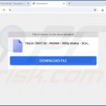 guardflares.com Projektträger umleiten 3