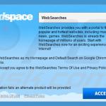 websearch.flyandsearch.info browser hijacker installer sample 2