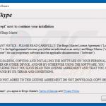 bingo master adware installer sample 5