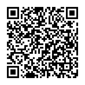 0apt Locker virus QR code