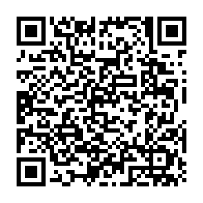 Asyl virus QR code