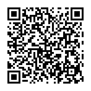 Bactor virus QR code