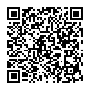 $Bitcat Airdrop Crypto-Drainer QR code