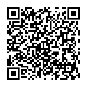 Bricks virus QR code