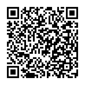 Calipso Virus QR code