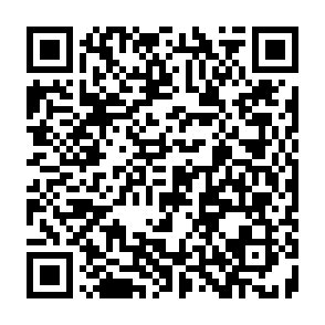CastleLoader virus QR code