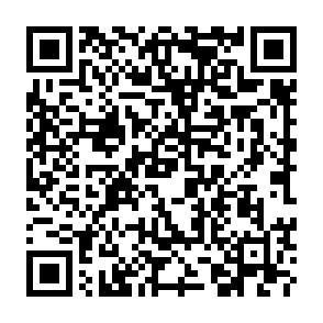 CCLand virus QR code