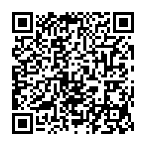 Cephalus virus QR code