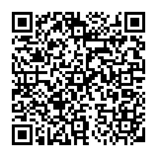 Completed Payment phishing versuch QR code
