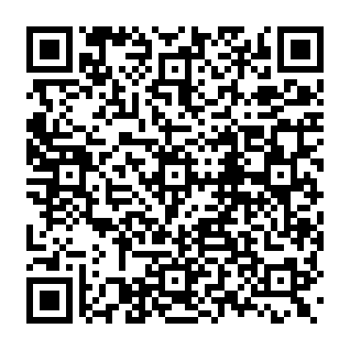 CrashStealer-Virus QR code