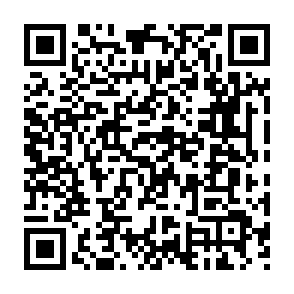 Dante Dieb QR code