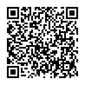 DeerStealer Informationsdieb QR code