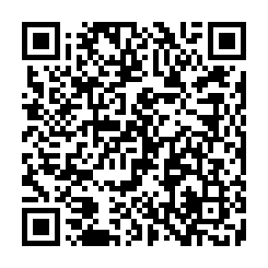Developer-Virus QR code
