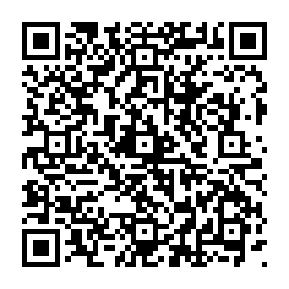 Werbung von digitalmeshweb.co.in QR code