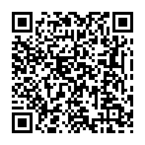 Dolphin X Remote-Access-Trojaner QR code