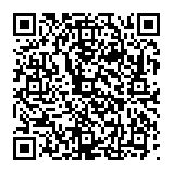 dragonboss.solutions Weiterleitung QR code