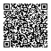 dragonboss.solutions Weiterleitung QR code