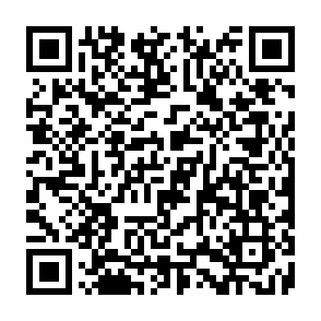 EKZ Infostealer QR code