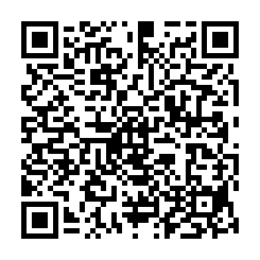 Evolution Informationsdieb QR code