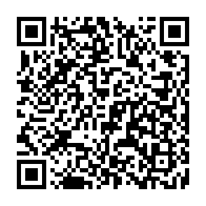 Fake Xeno Script-Executor QR code