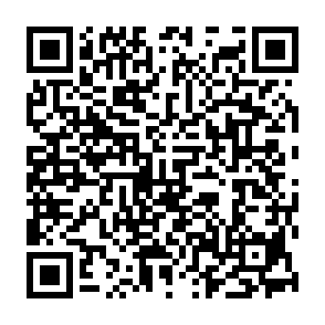 Werbung von folacines.com QR code