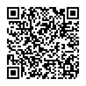 Betrügerische Grass Airdrop Website QR code