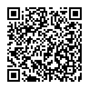 Hitler virus QR code