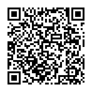 HMDL Virus QR code