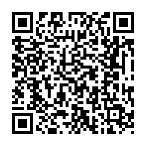 Hnx911 Virus QR code