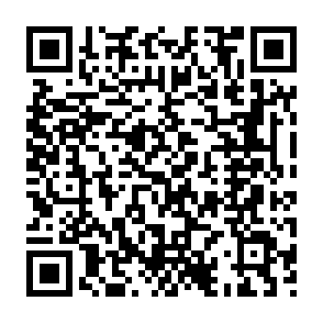 Hommy-Virus QR code