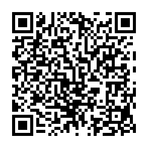 Werbung von human-access.co.in QR code
