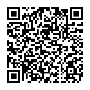 HybridPetya virus QR code