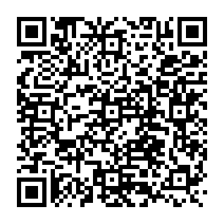Internal Error phishing email QR code