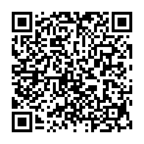JSCEAL Informationsdieb QR code