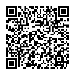 KarryTech-Virus QR code