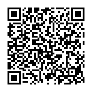 KIMO-Virus QR code
