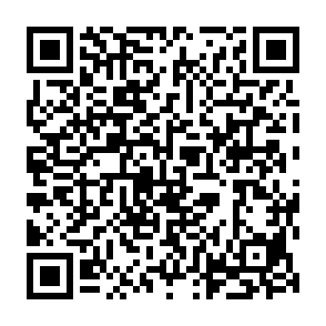 Kora-Virus QR code