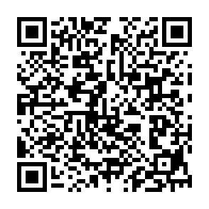 KREMLIN Banking-Malware QR code