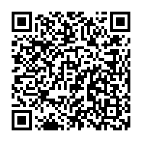 LabubaRAT Remote-Access-Trojaner QR code