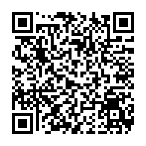 Lampion virus QR code