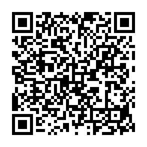 LLHN Infostealer QR code