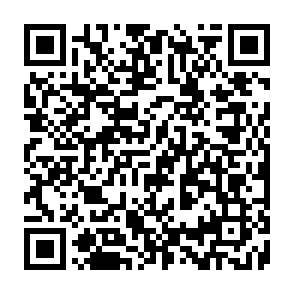 LofyStealer Informationsdieb QR code
