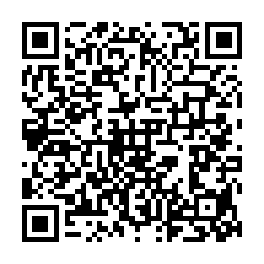 Lunex Datendieb QR code