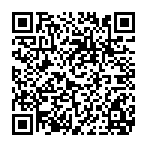 Millenium Fernzugriffstrojaner QR code
