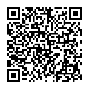 Minecraft Trojaner zur Fernverwaltung QR code